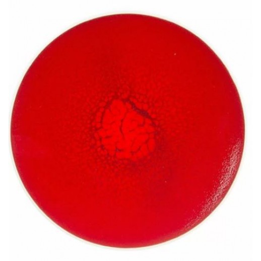 Тарелка круглая Rubi Sunset фарфор 1 шт 205 мм Китай 81223330