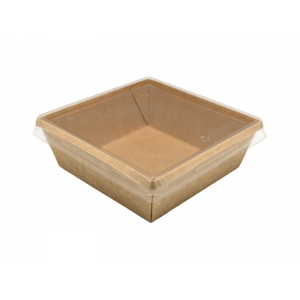 Упаковка ECO SmartPack 550 110*110*50 мм с плоской крышкой Россия 134961