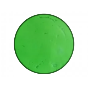 Мастика универсальная сахарная светло-зеленая ФАНСИ 1 шт 0,1 кг 471566