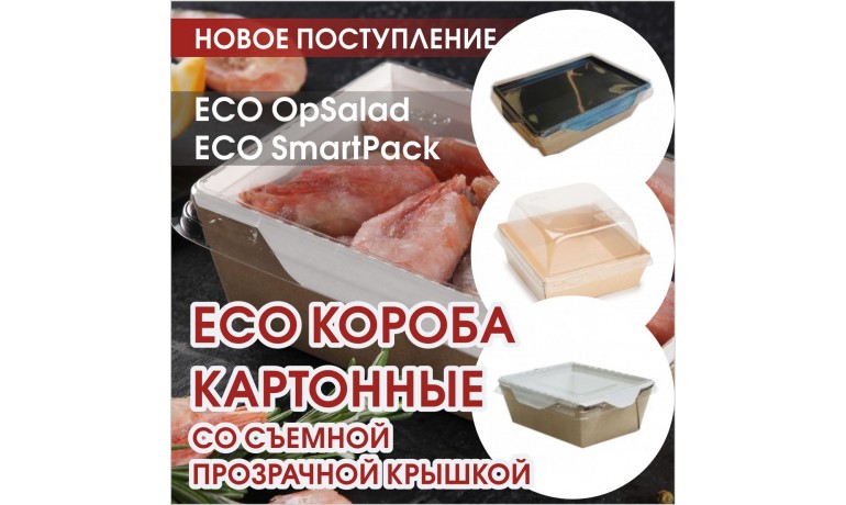 ECO короба картонные со съемной прозрачной крышкой